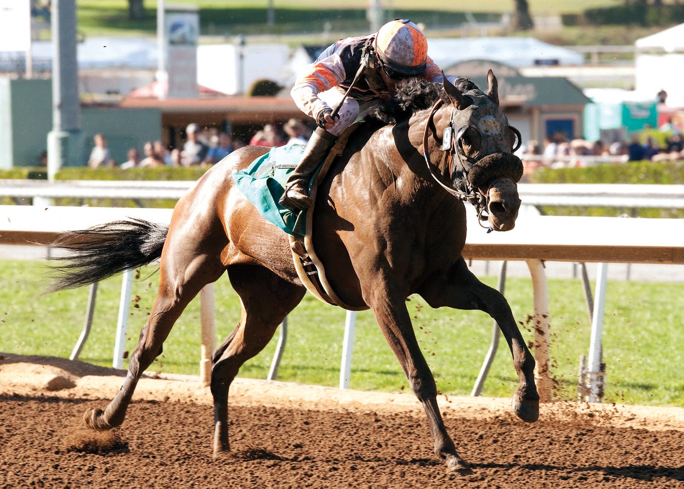 Ashley’s Sassy looks to break through in Melair